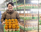 鈴木農園・まどか菜園