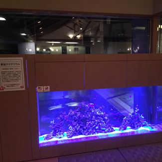 展望アクアリウム
